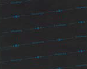 ランドセルのモチーフの画像