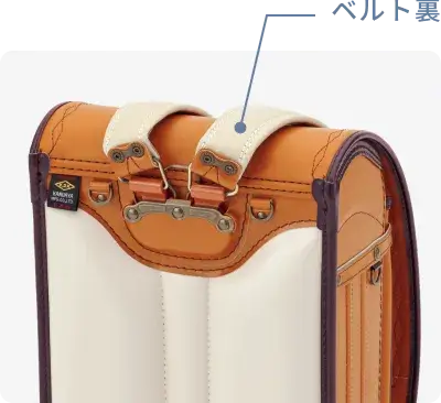 ベルト裏のイメージ
